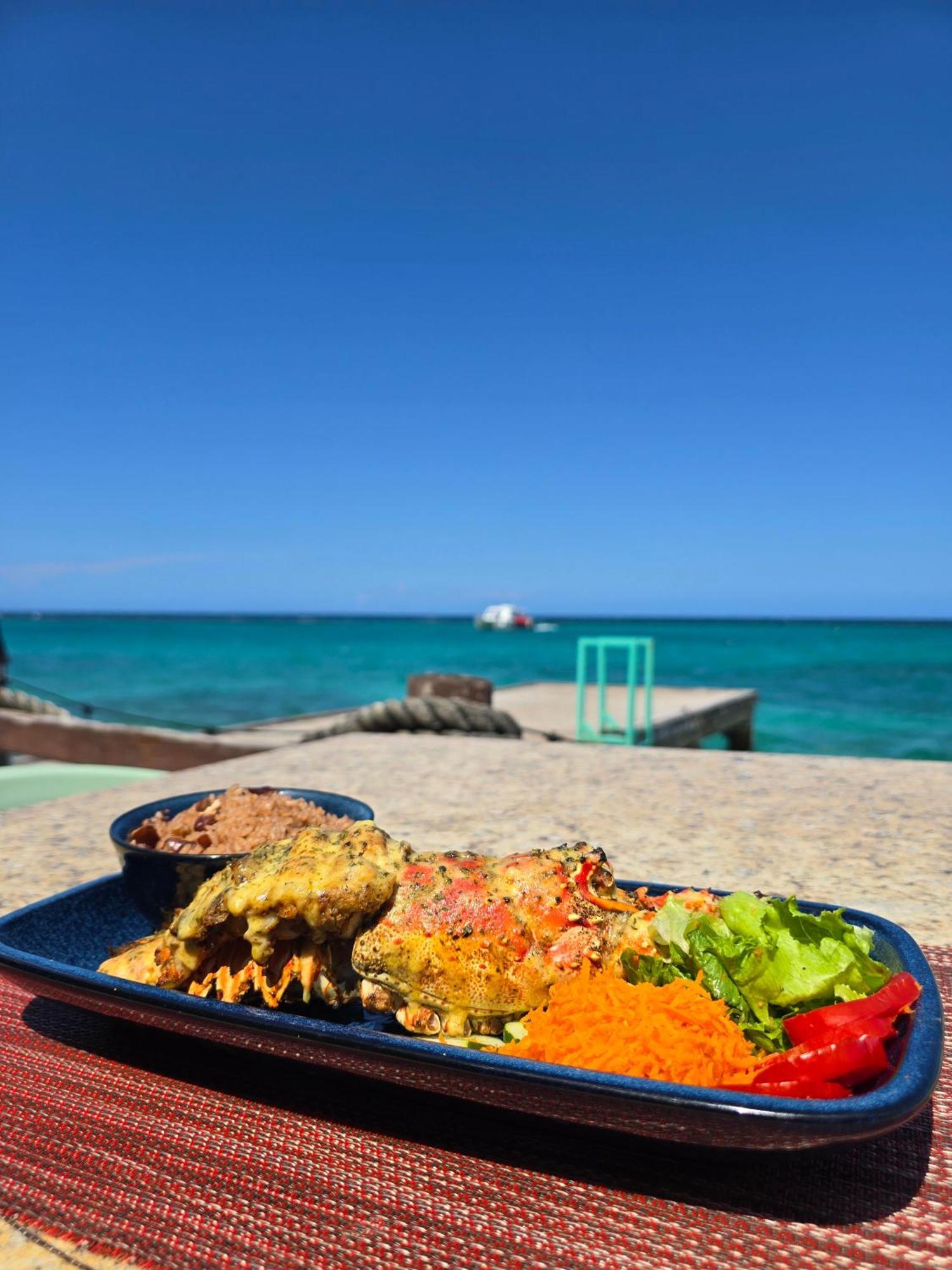 Hotel Ocean Palms Ocho Rios Exteriér fotografie