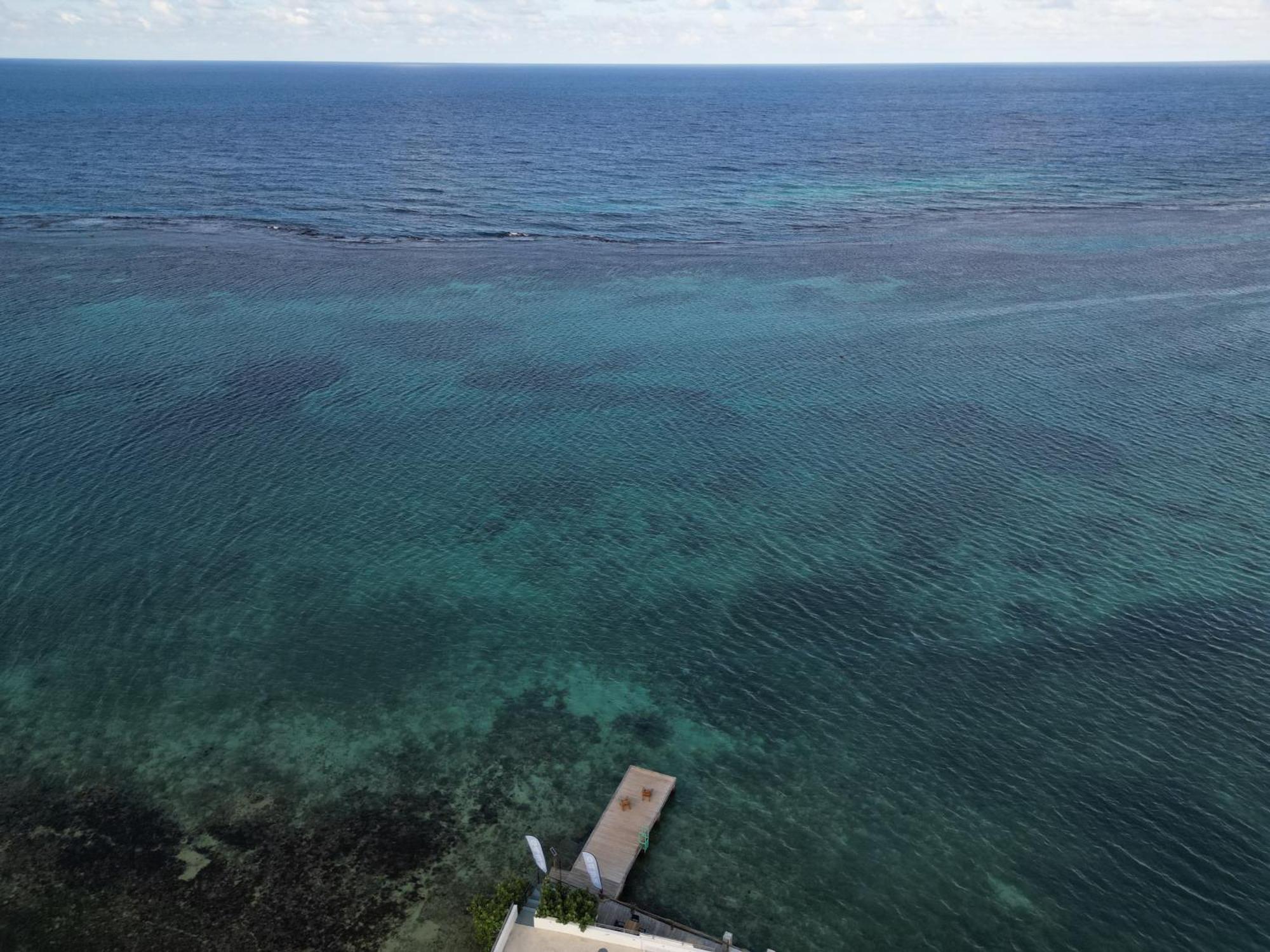 Hotel Ocean Palms Ocho Rios Exteriér fotografie